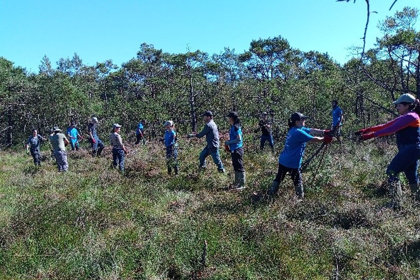 Tier- und Pflanzenschutz in norddeutschen Moor- und Heidegebieten