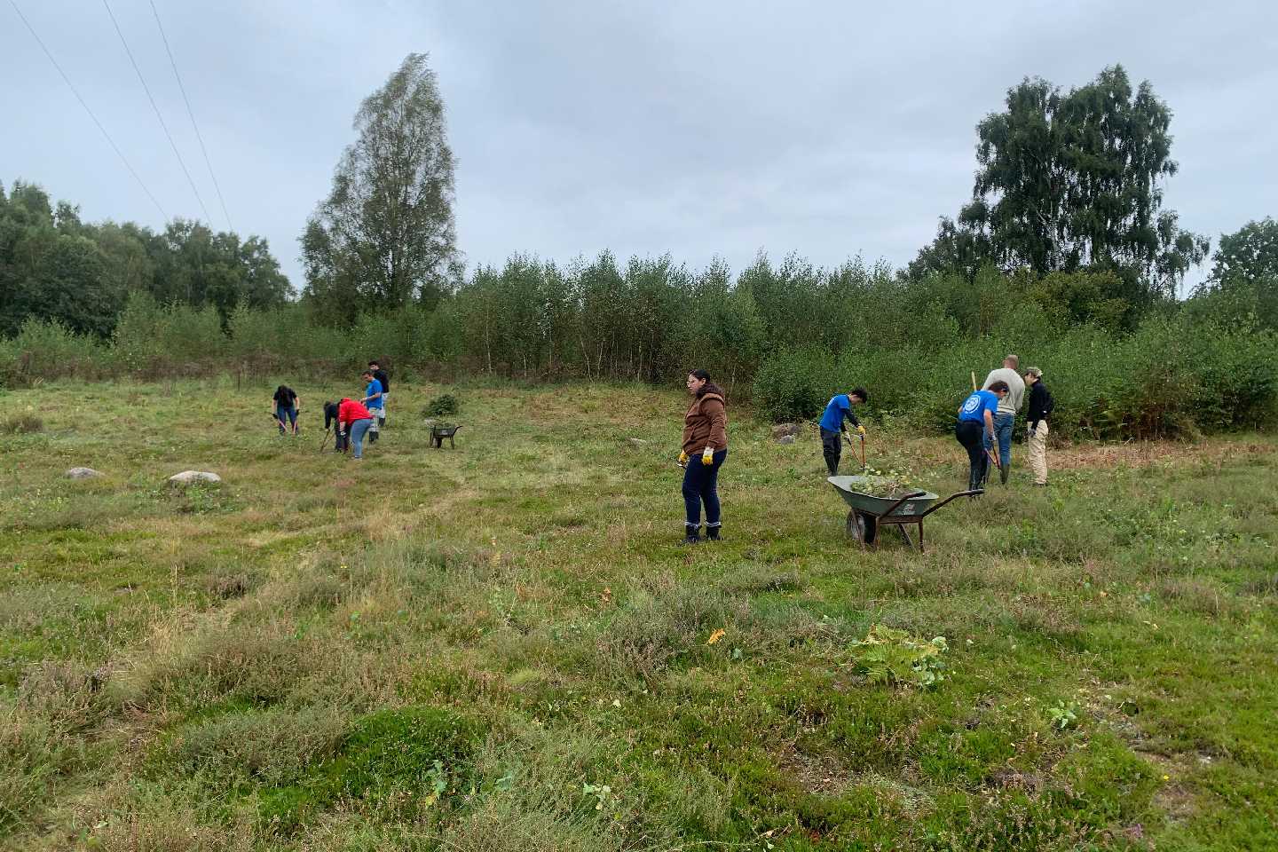Naturschutz am Rande der Großstadt I