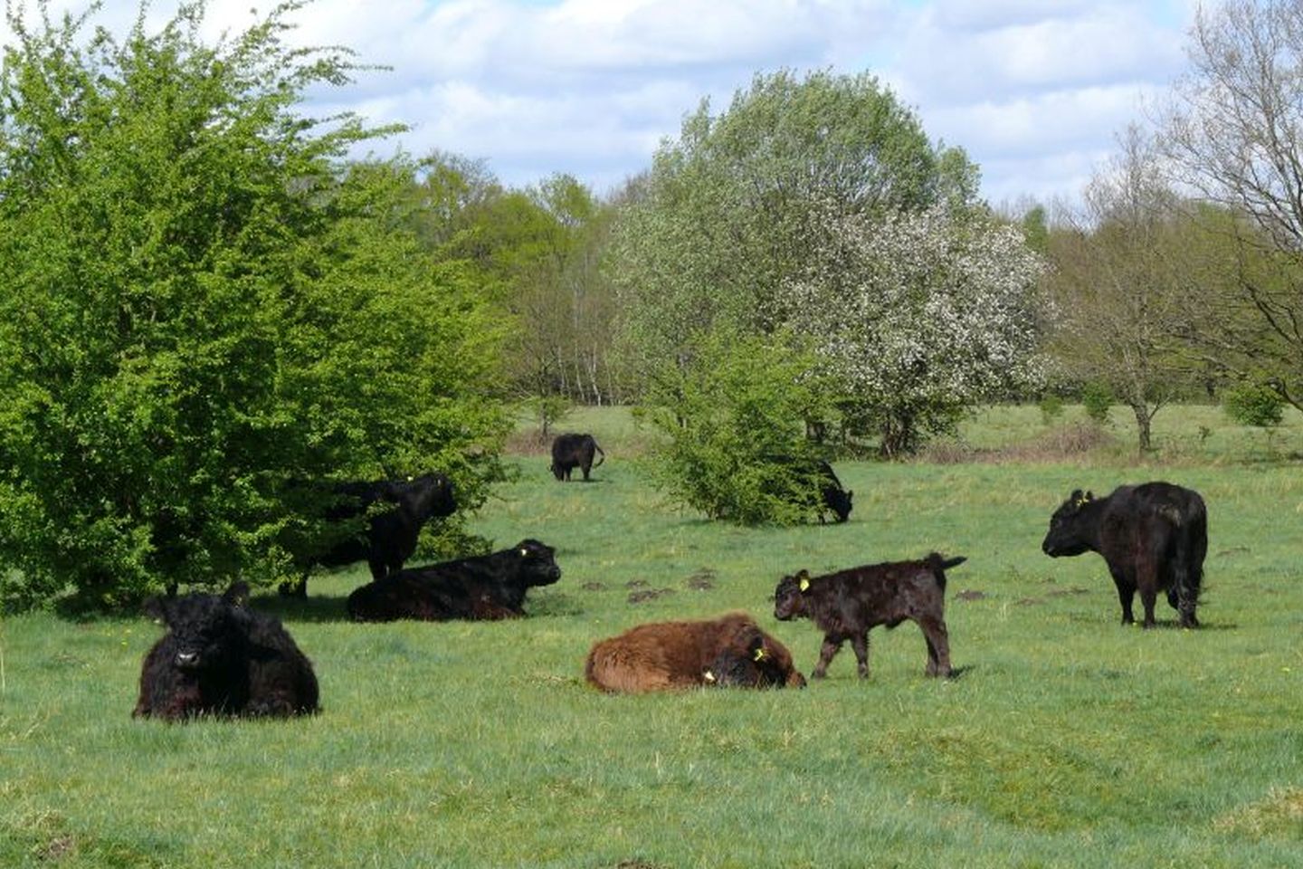 Naturschutz am Rande der Großstadt I