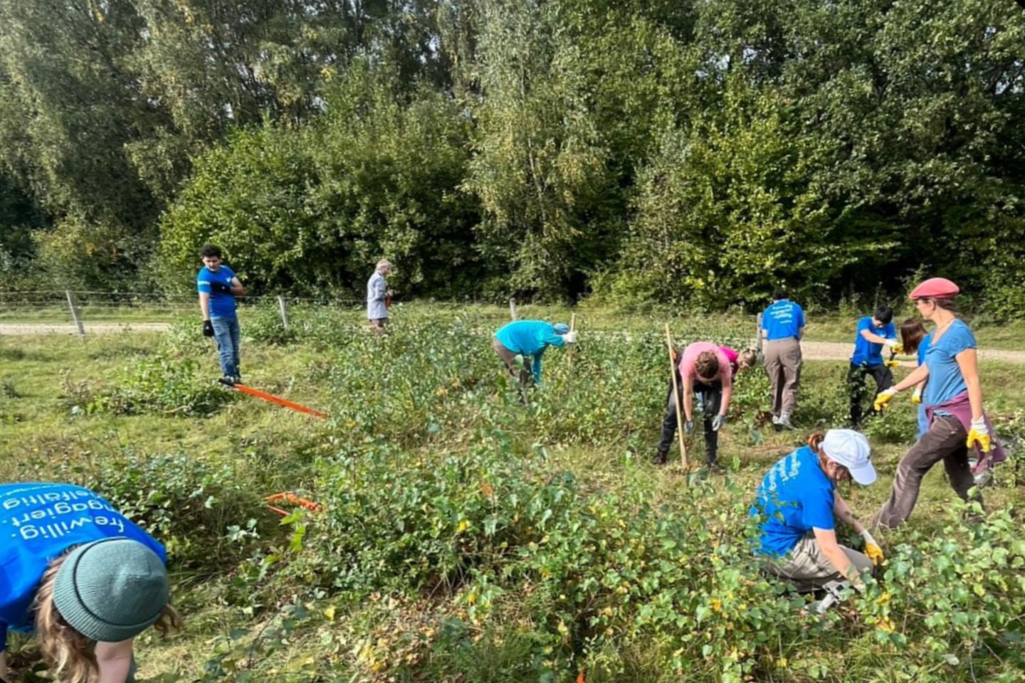Naturschutz am Rande der Großstadt I