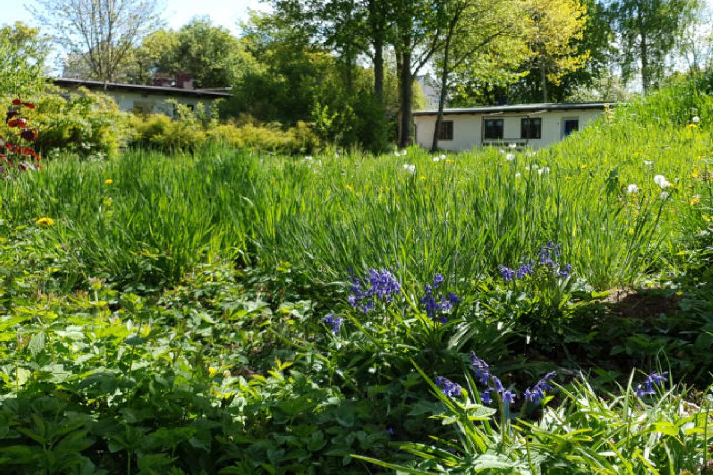 Waldwuchs Flensburg: Gemeinsam für Nachhaltigkeit und Natur!