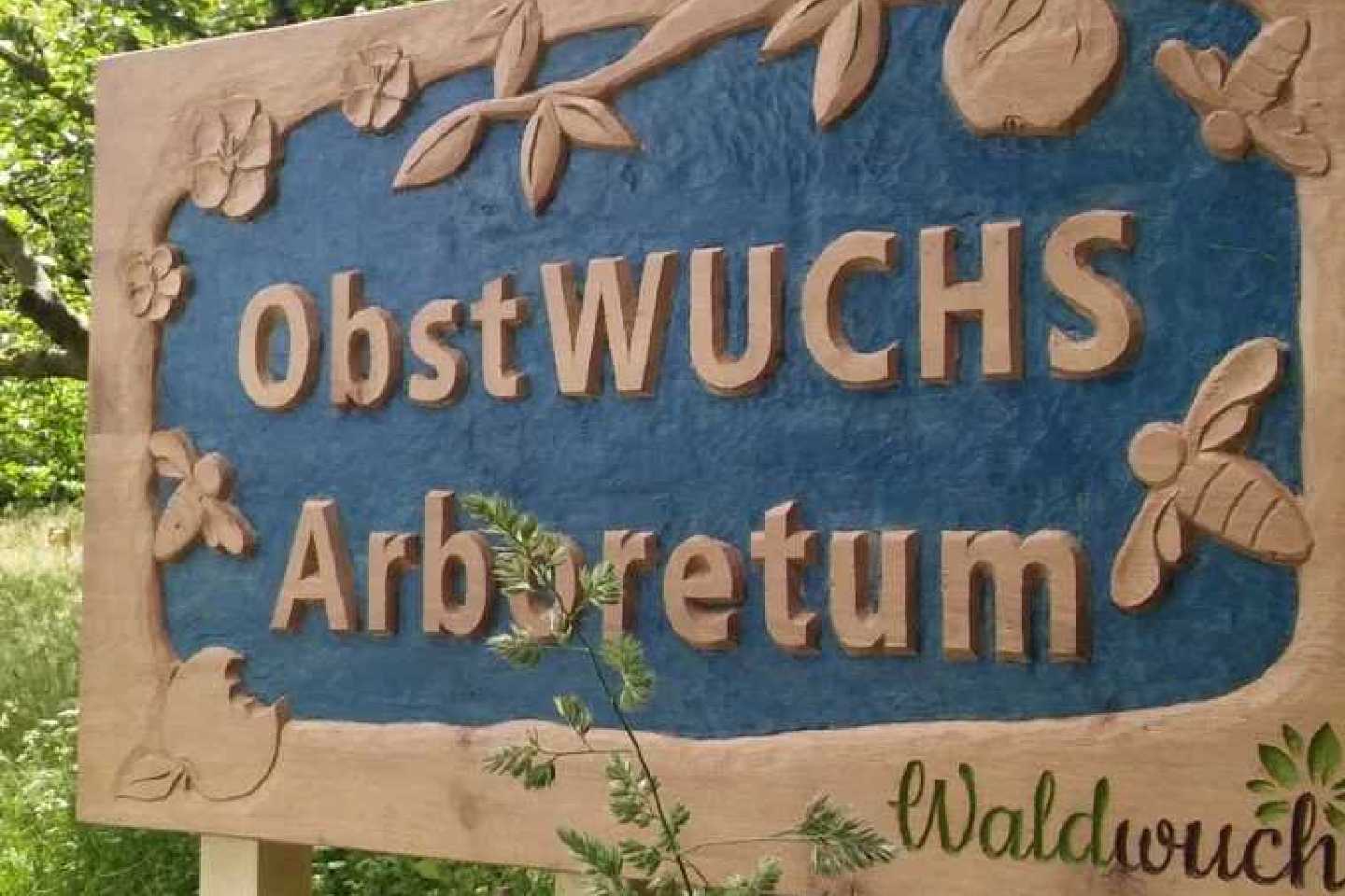 Waldwuchs Flensburg: Gemeinsam für Nachhaltigkeit und Natur!