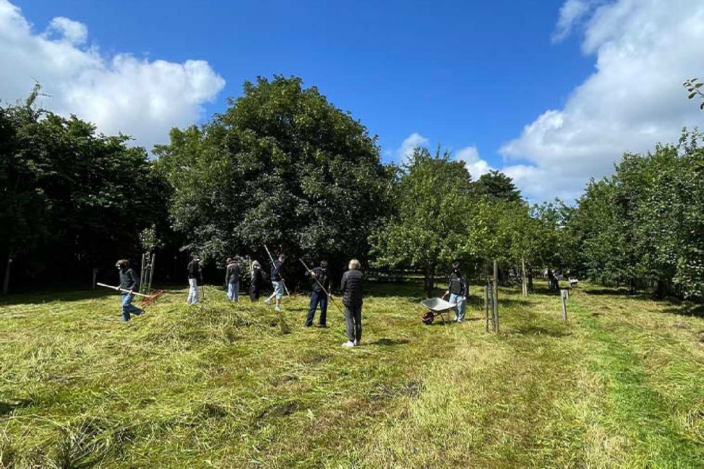 Waldwuchs Flensburg: Gemeinsam für Nachhaltigkeit und Natur!