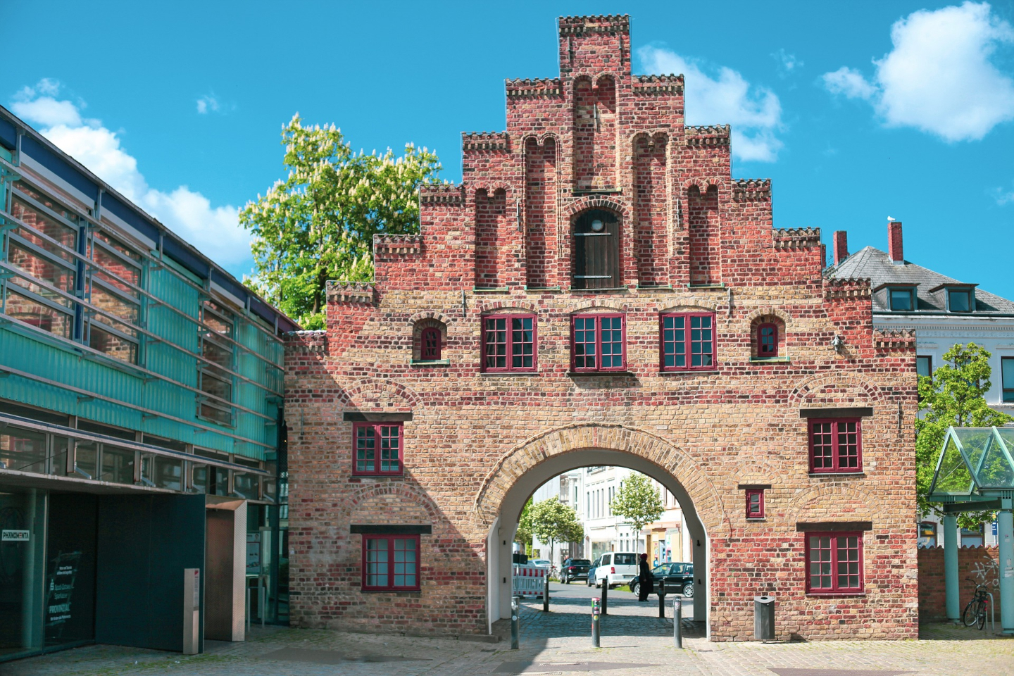 Waldwuchs Flensburg: Gemeinsam für Nachhaltigkeit und Natur!