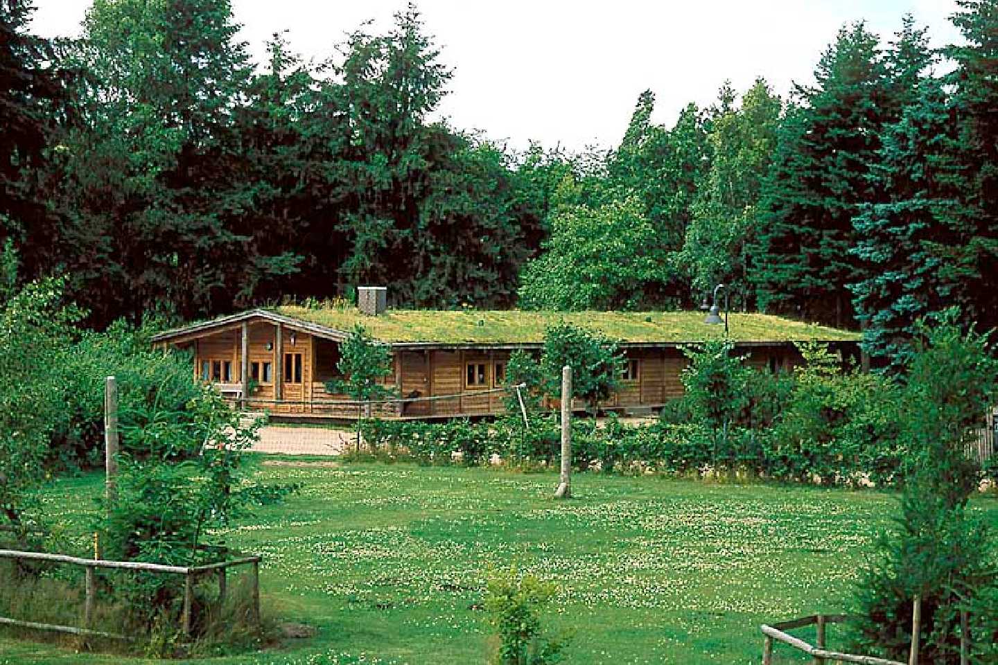 Leben und Arbeiten mitten im norddeutschen Wald