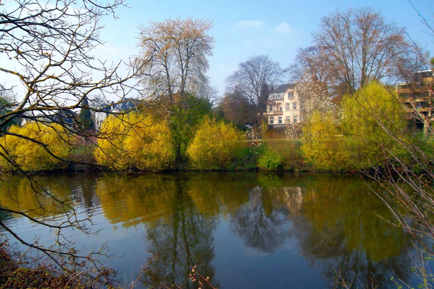 Schutz und Erhalt der Biodiversität