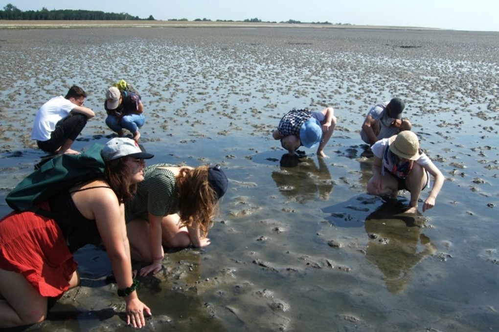Naturschutz im UNESCO-Biosphärenreservat Niedersächsisches Wattenmeer